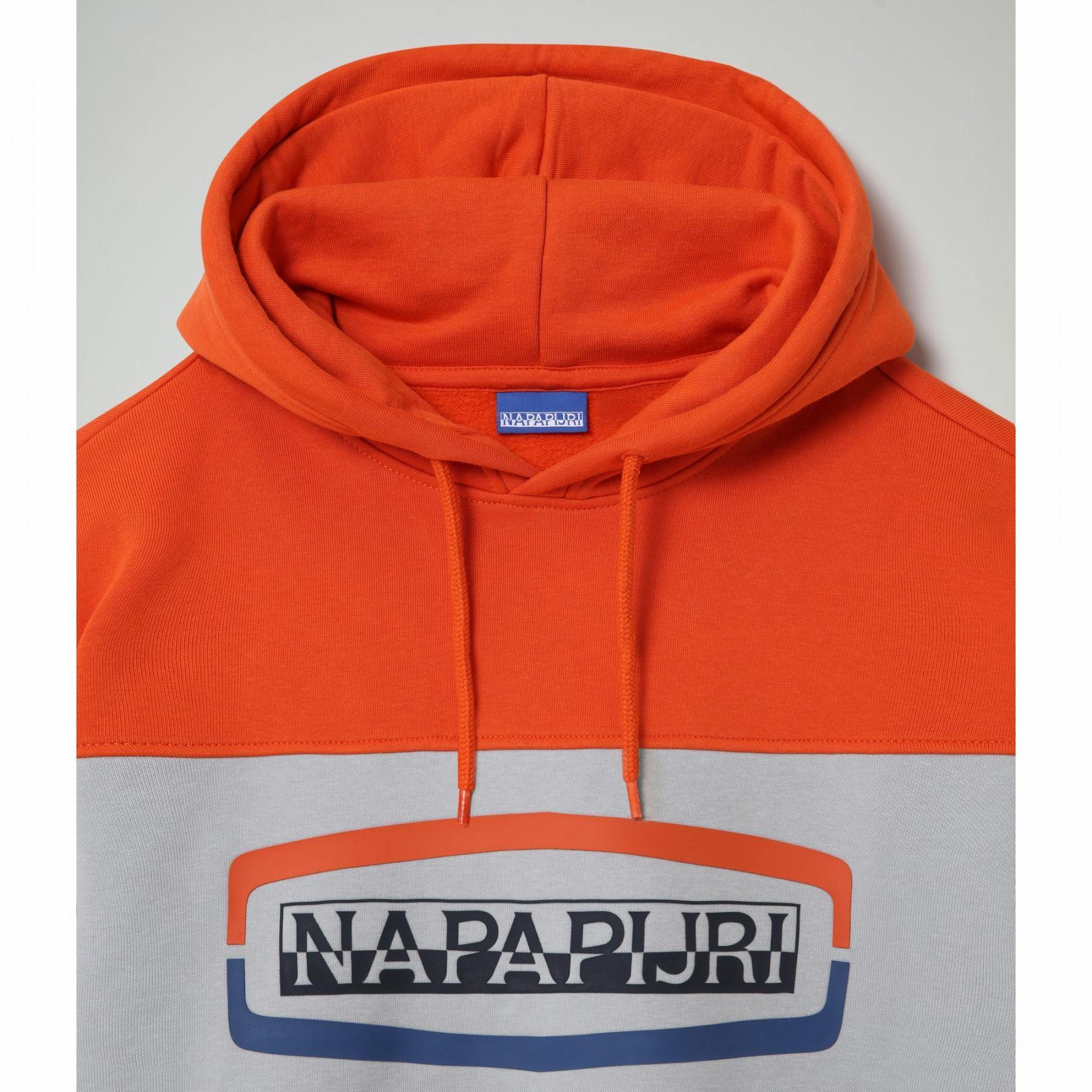 Tricolour hooded sweatshirt Napapijri Bogy